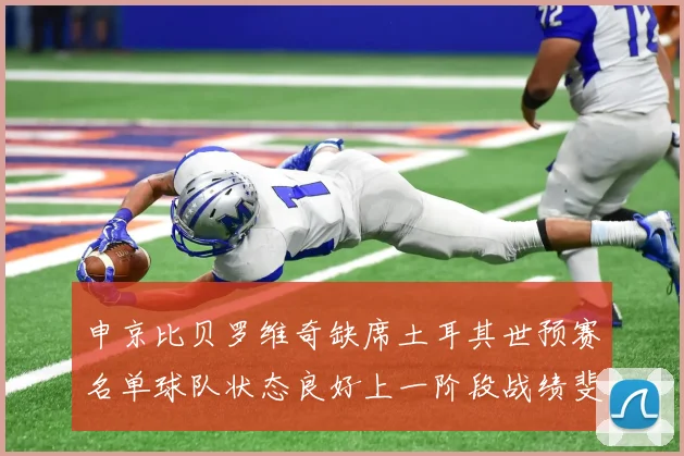 申京比贝罗维奇缺席土耳其世预赛名单球队状态良好上一阶段战绩斐然