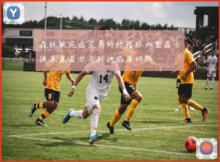 森林狼完成交易约什格林加盟爵士换来康查尔与科迪威廉姆斯